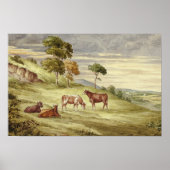 Elizabeth Murray - Deer Park, mogelijk Kilkenny Poster (Voorkant)