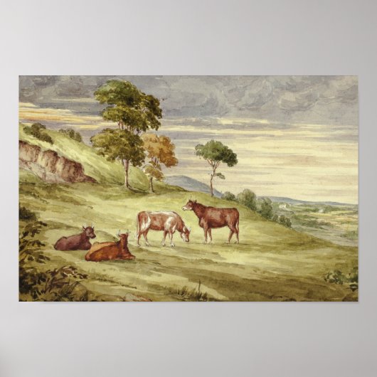 Elizabeth Murray - Deer Park, mogelijk Kilkenny Poster (Voorkant)