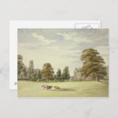 Elizabeth Murray - Koeien voor Manor House en Briefkaart (Voorkant / Achterkant)