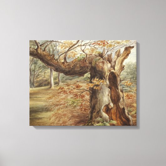 Elizabeth Murray - Rotatieboom Canvas Afdruk (Voorkant)