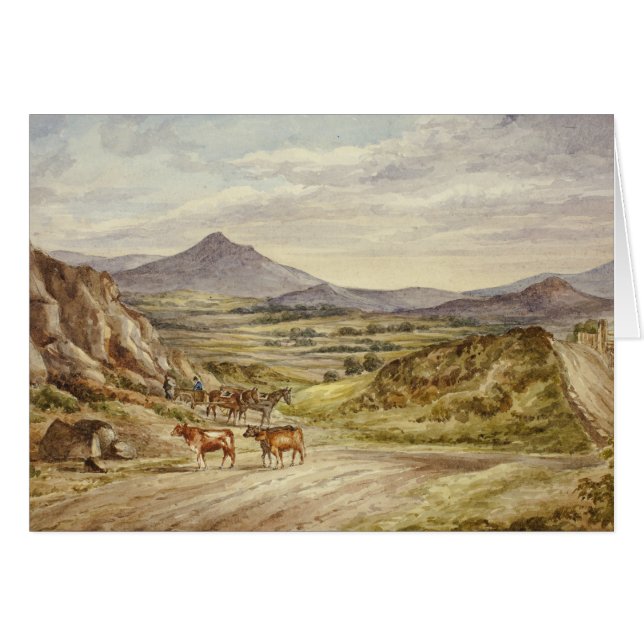 Elizabeth Murray - Wicklow Hills (Voorkant Horizontaal)