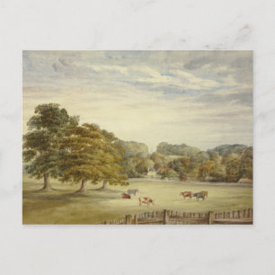 Elizabeth Murray - Zes koeien grazen voor het land Briefkaart