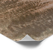 Elizabeth of Bavaria Poster (Hoek)