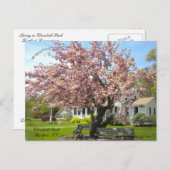 Elizabeth Park, Hartford, CT Briefkaart (Voorkant / Achterkant)