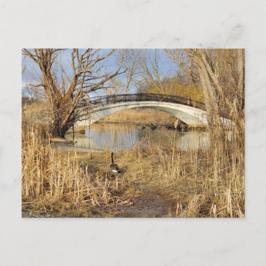 Elizabeth Park, Trenton, Michigan Briefkaart (Voorkant)