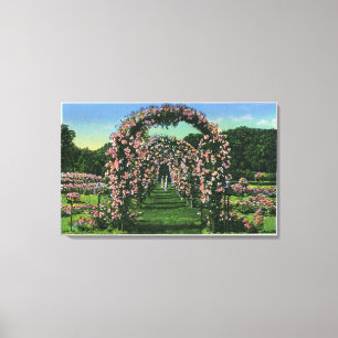 Elizabeth Park Uitzicht van de Rozen Arches Canvas Afdruk
