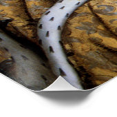 Elizabeth Tudor, Koningin van Engeland Perfect Poster (Hoek)