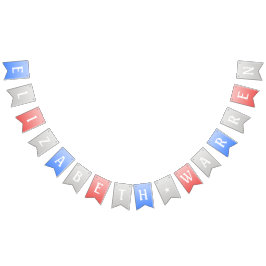 elizabeth warren party banner