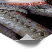 Elizabeth, Winterkoningin van Bohemia Poster (Hoek)