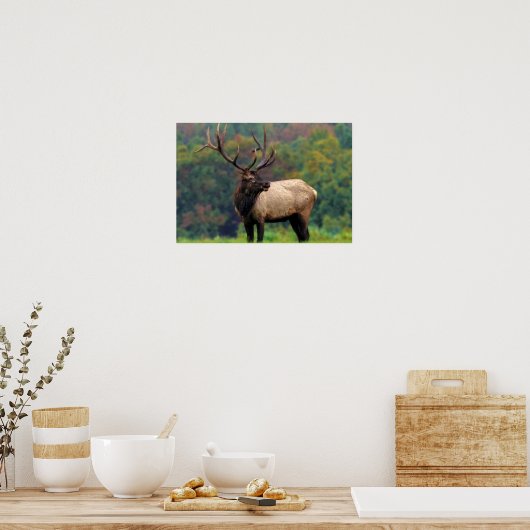 Elk 19x13 Poster (Keuken)