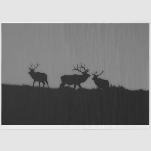 Elk 1 tissuepapier (Voorkant)