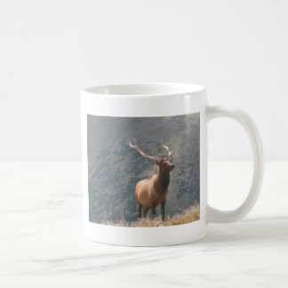 Elk 2 koffiemok