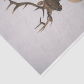 Elk 2 tissuepapier (Detail)