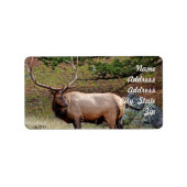 Elk Adres Sticker (Voorkant)