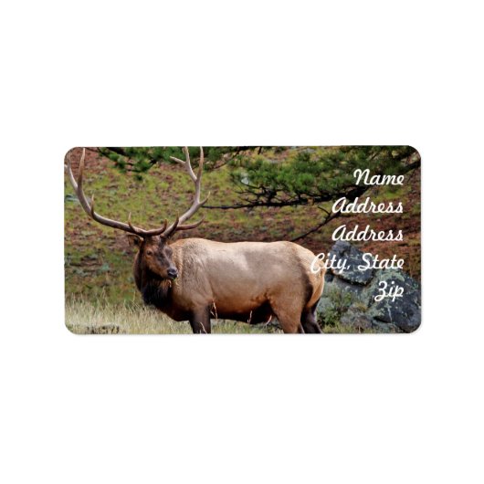 Elk Adres Sticker (Voorkant)