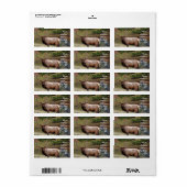 Elk Adres Sticker (Full Sheet)