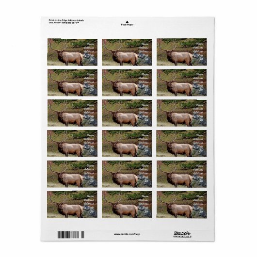 Elk Adres Sticker (Full Sheet)