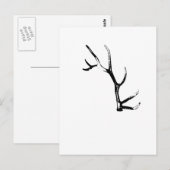 Elk Antler Briefkaart (Voorkant / Achterkant)