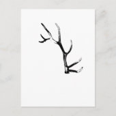 Elk Antler Briefkaart (Voorkant)