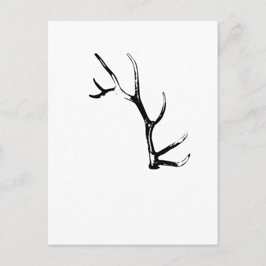 Elk Antler Briefkaart (Voorkant)