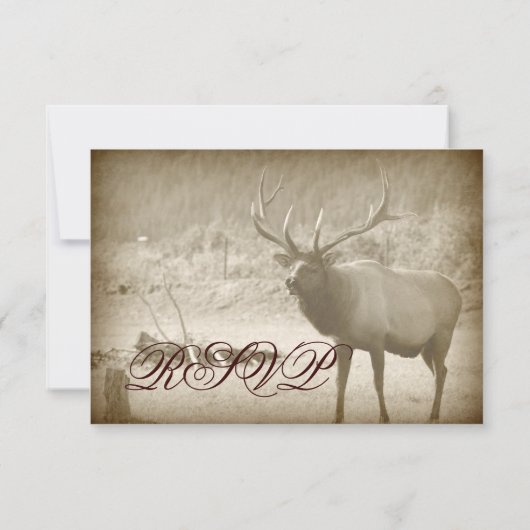 Elk Big Game Wildlife Antlers bruiloft RSVP-kaarte RSVP Kaartje (Achterkant)