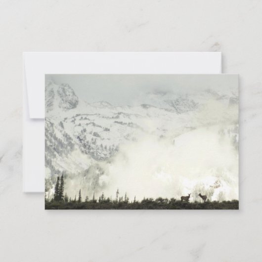 Elk bij Grand Teton National Park Fotografie (Voorkant)