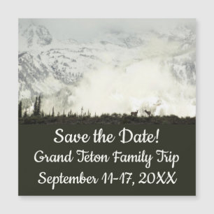Elk bij Grand Teton National Park Fotografie