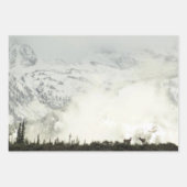 Elk bij Grand Teton National Park Fotografie Inpakpapier Vel (Voorkant)