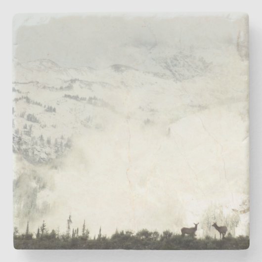 Elk bij Grand Teton National Park Fotografie Stenen Onderzetter (Voorkant)