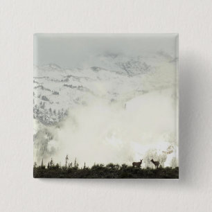 Elk bij Grand Teton National Park Fotografie Vierkante Button 5,1 Cm
