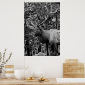 Elk Black White Photo Modern Rustic Cabin Poster (Keuken)