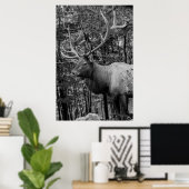 Elk Black White Photo Modern Rustic Cabin Poster (Thuiskantoor)