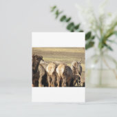 Elk Booty Briefkaart (Staand voorkant)