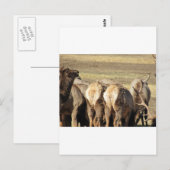 Elk Booty Briefkaart (Voorkant / Achterkant)