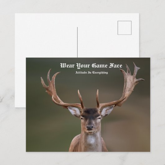 Elk Briefkaart (Voorkant / Achterkant)
