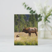 Elk Briefkaart (Staand voorkant)