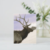 Elk Briefkaart (Staand voorkant)