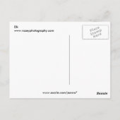 Elk Briefkaart (Achterkant)