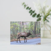 Elk Briefkaart (Staand voorkant)