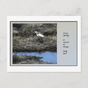 Elk Briefkaart van de Lente Haiku