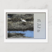 Elk Briefkaart van de Lente Haiku (Voorkant)