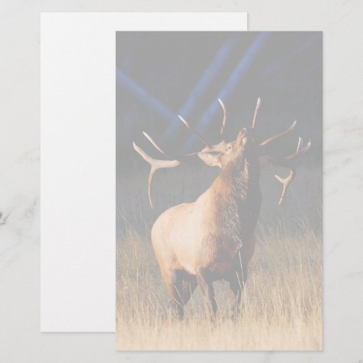 elk briefpapier (Voorkant / Achterkant)