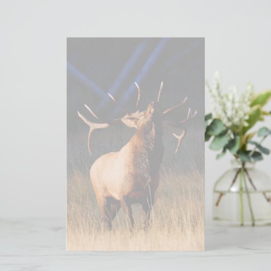 elk briefpapier (Staand voorkant)