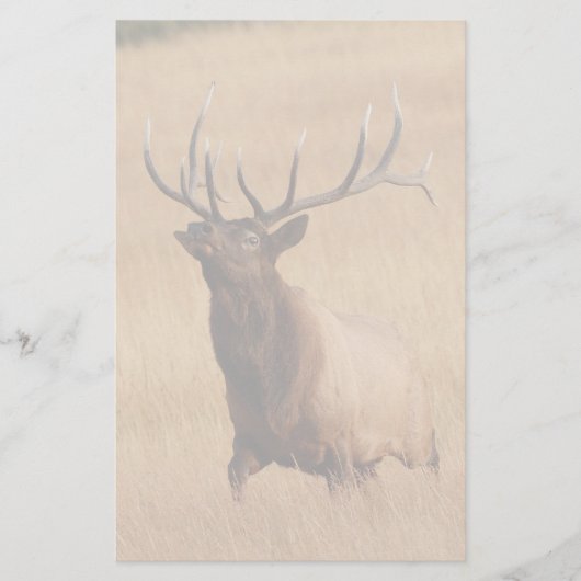 elk briefpapier (Voorkant)