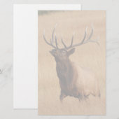 elk briefpapier (Voorkant / Achterkant)