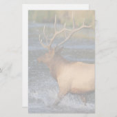 elk briefpapier (Voorkant / Achterkant)