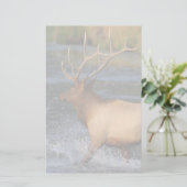 elk briefpapier (Staand voorkant)