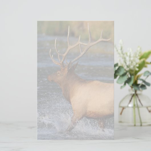 elk briefpapier (Staand voorkant)