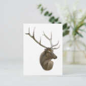 Elk Buck Briefkaart (Staand voorkant)