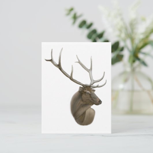 Elk Buck Briefkaart (Staand voorkant)